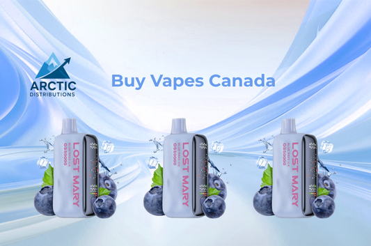 Buy Vapes Canada – Why Arctic Distributions Is the Go-To Vape Wholesaler in 2025